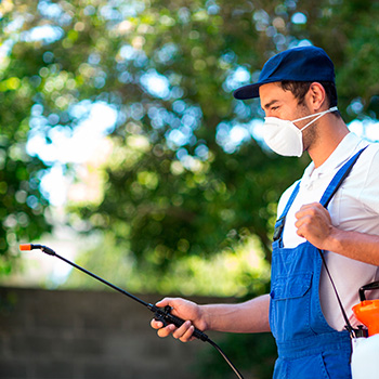 Insecticidas & Repelentes
