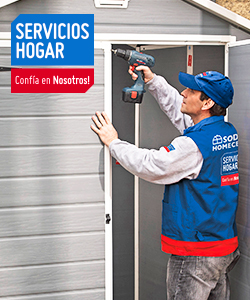 contenido