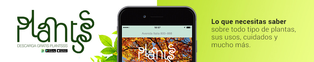 app plantasss