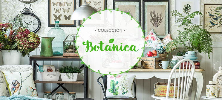 Colección Botánica
