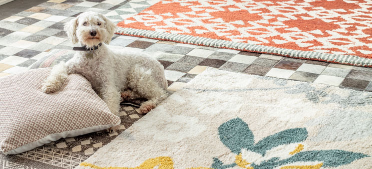 Vitcat homy alfombras.jpg Cama redonda en concepcion en ventas