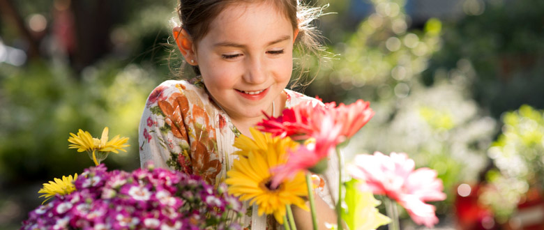 ¿Cómo cuidar tú jardin en Primavera - Verano?