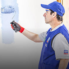 Servicios Muebles, Decoración