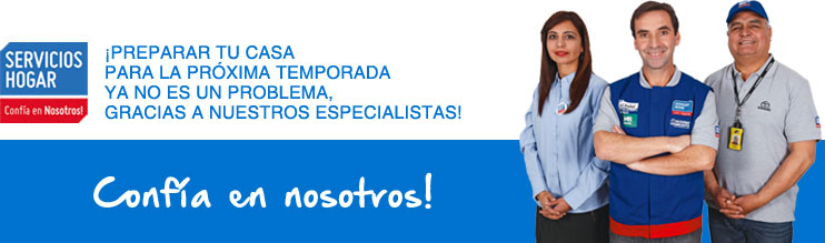 Servicios de temporada: Especial Otoño - Invierno