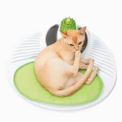 CATIT - Centro SPA para gatos