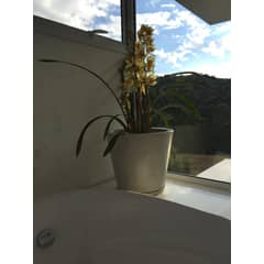 FLORIDIS - MACETERO GRIS EFECTO MARMOL GENEBRA 35CM ALTO CON PLATO