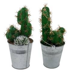 EKOL TACTICA MILITAR - Cactus Artificial Verde Artesanal Hogar Y Decoración