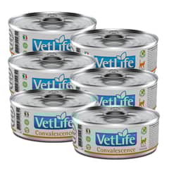 VETLIFE - Vet Life Lata Convalescence Gato Pack x 6 Latas 85gr