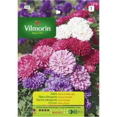 VILMORIN - Semilla flor reina margarita 0,8 gr sachet