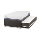 CIC - Divan Excellence Plus Black Solo