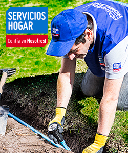 contenido