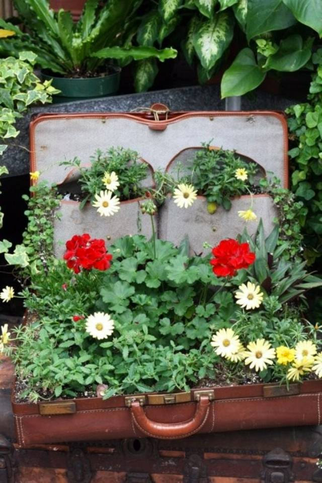 Maletas con plantas.