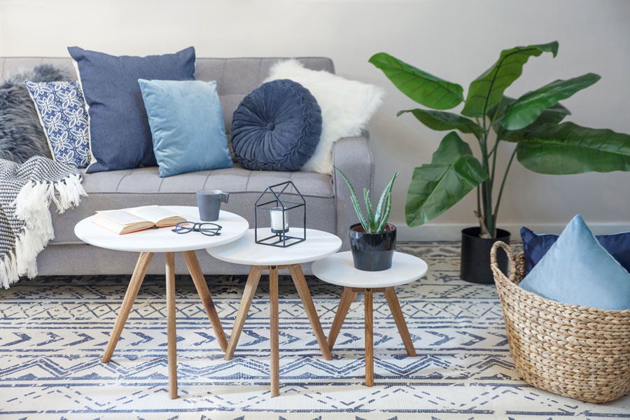 Las 5 Cosas Que No Faltan En Mi Casa Las 5 Cosas Que No Faltan En Mi Casa