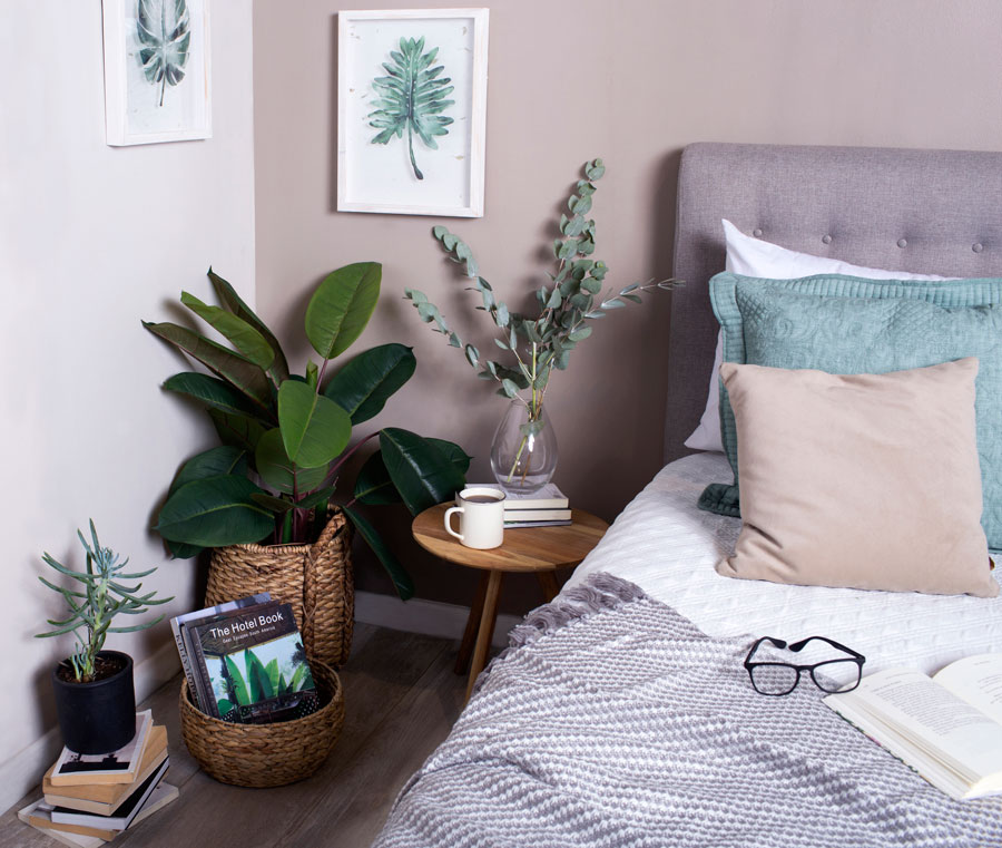 5 productos homy que le daran un nuevo estilo a tu pieza plantas