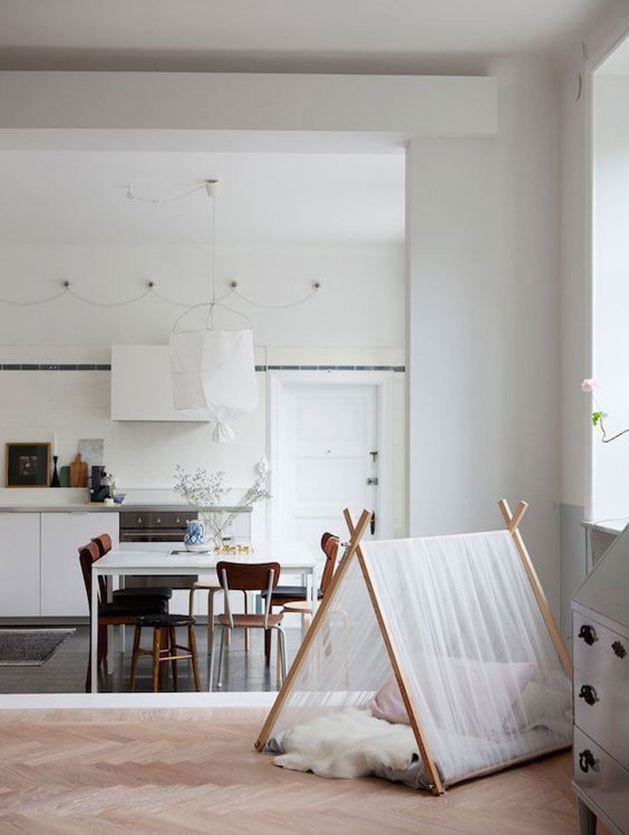 rincon mascotas carpa