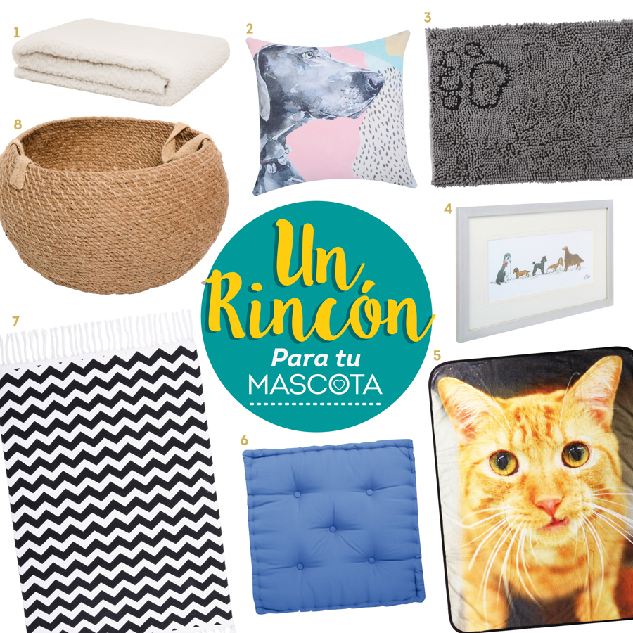 rincón mascota moodboard
