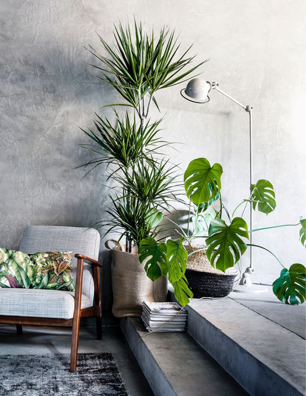 Decora en gris con colores vivos colores verdes