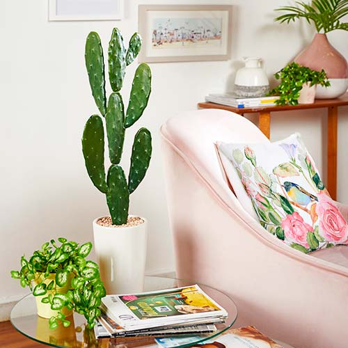 un rincon muy femenino cactus poltrona lady cojin floreado