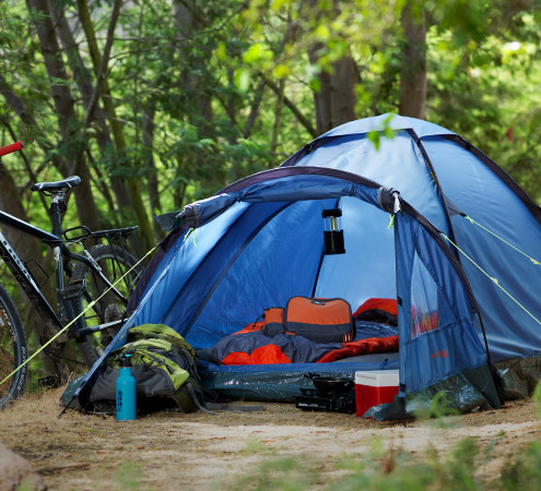 Carpas Carpas