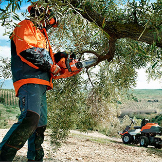 guia-como-elegir-motosierra-consejo-mantencion.jpg