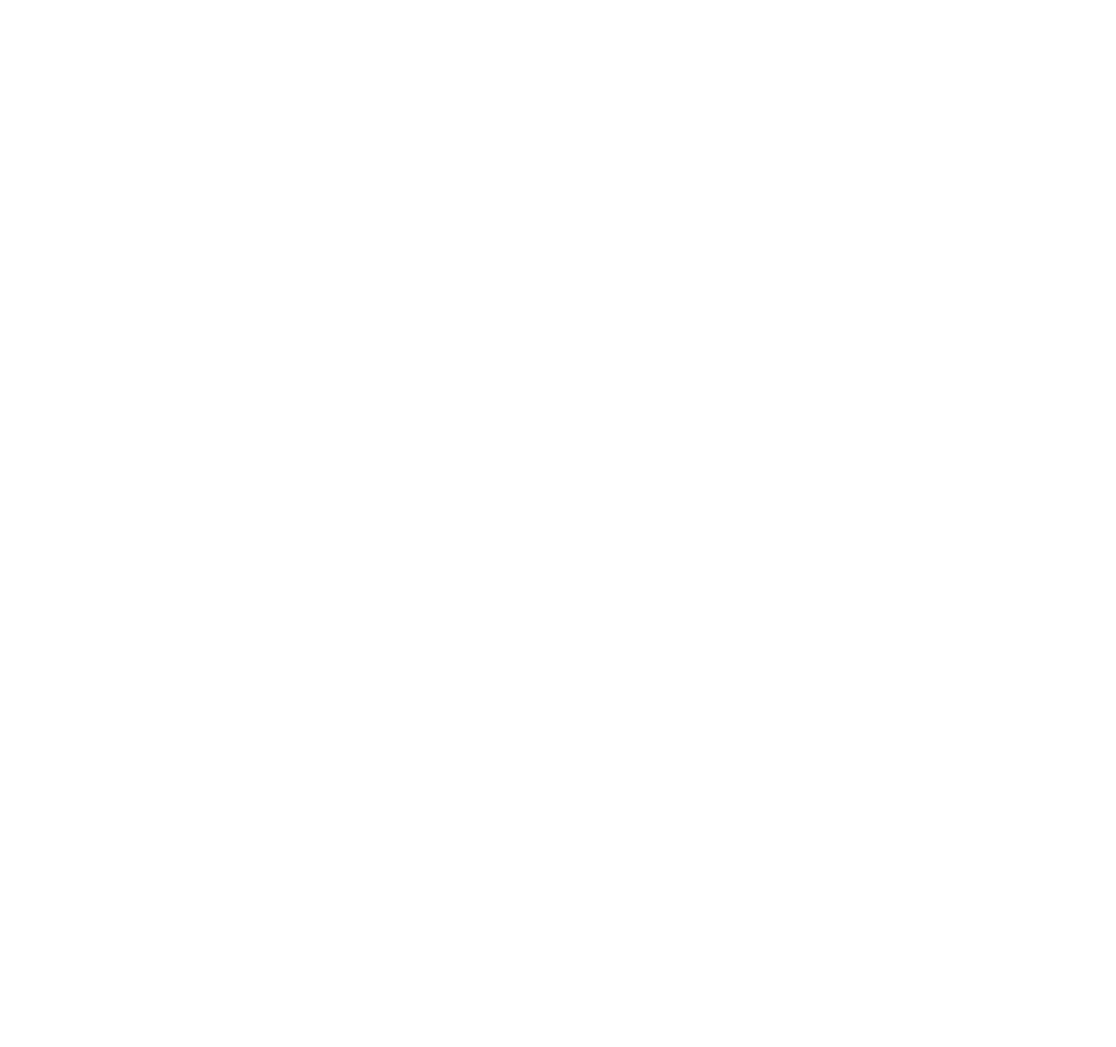 icono categoria
