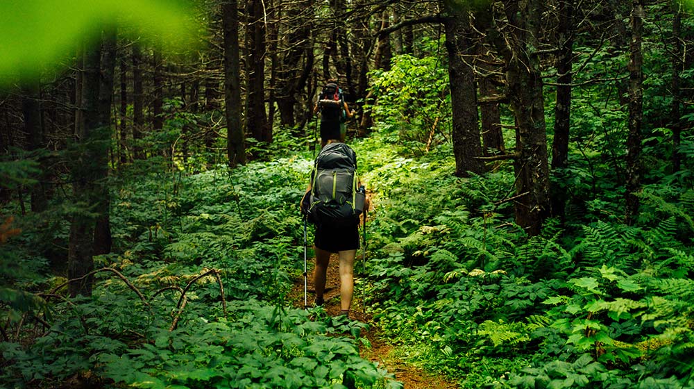 ¿Cómo elegir una mochila de camping?