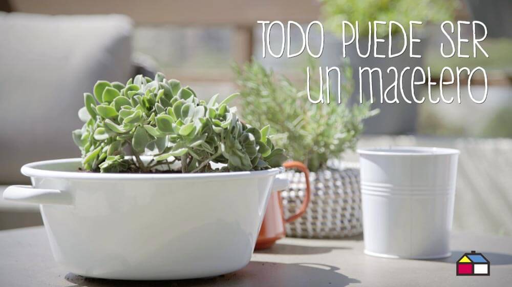Vitrina muebles