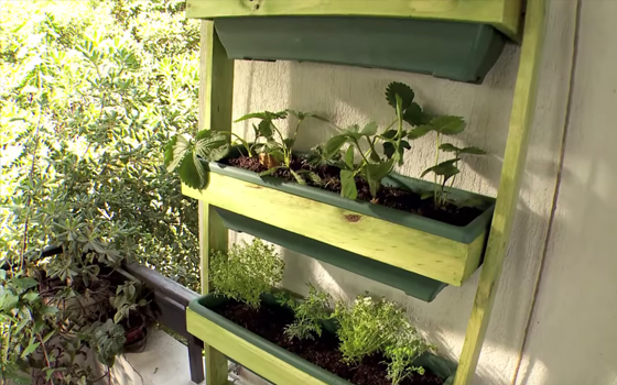 jardin mascotas