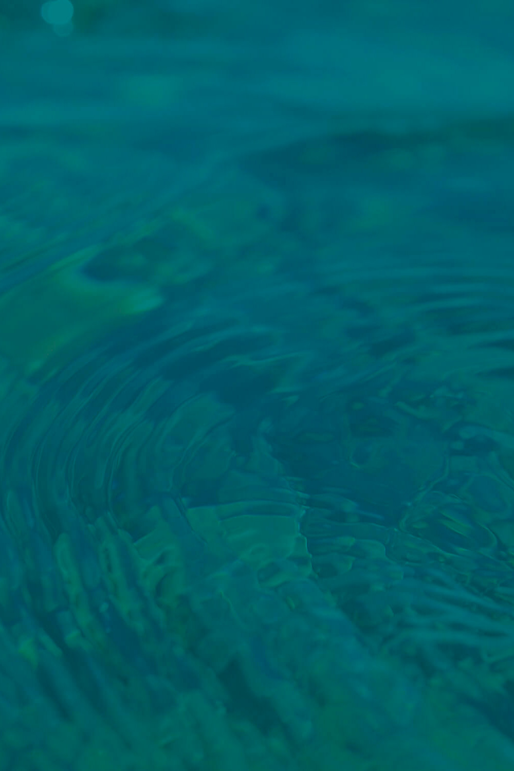 fondo vitrina