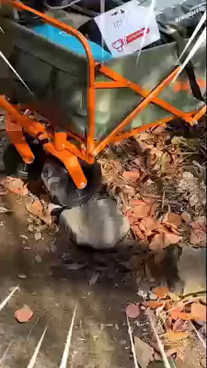 Video 4