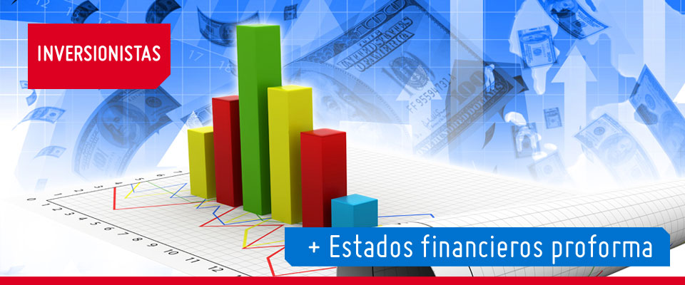 Estados financieros proforma